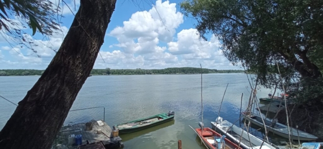 viber_image_2026-06-07_16-39-04-827